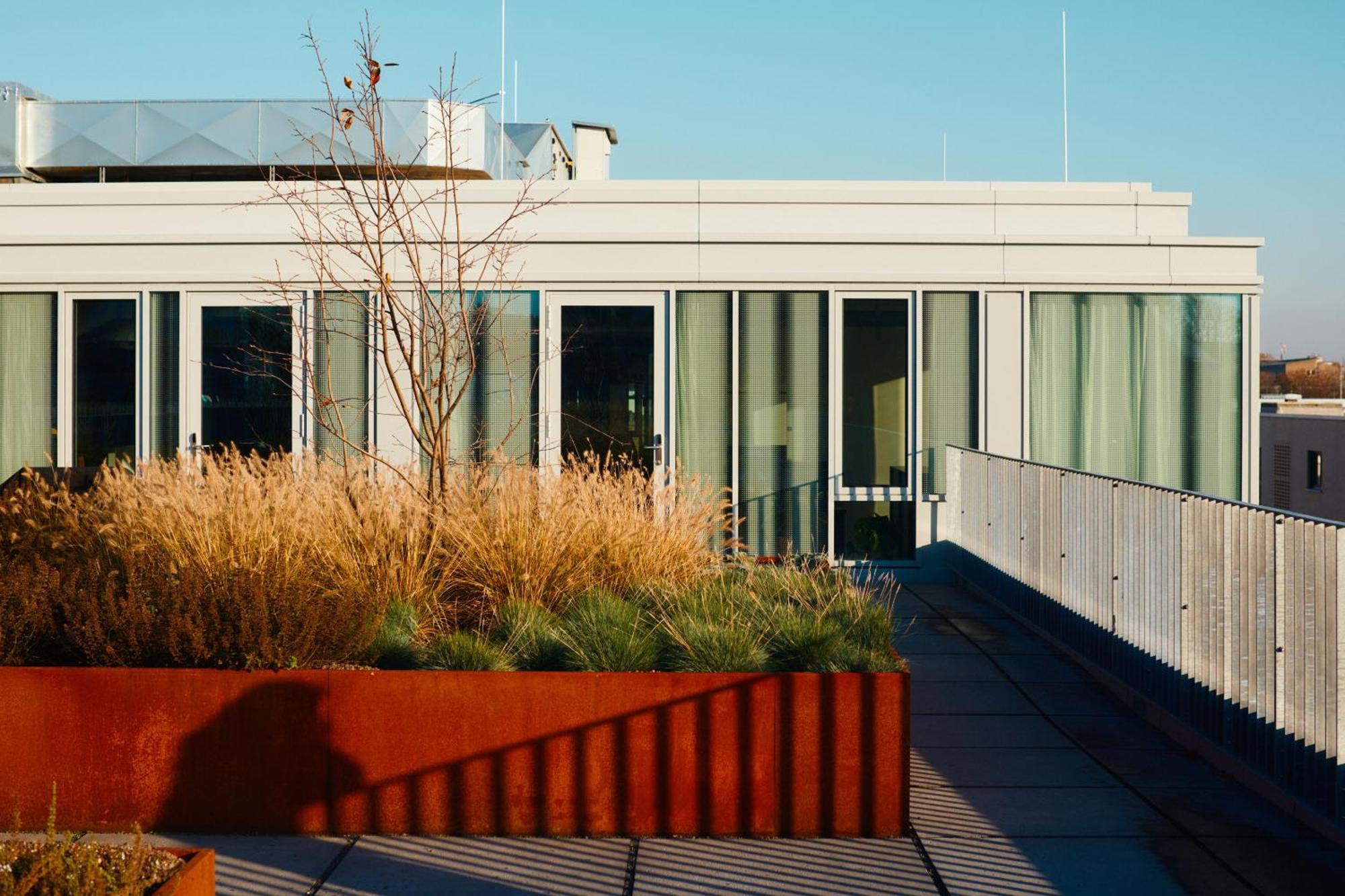 Theclouth Hotel Cologne Exterior photo